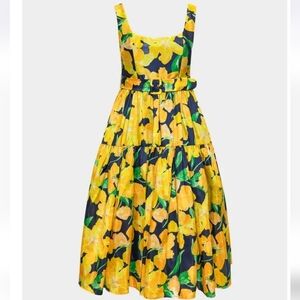 NEW Anthropologie Hutch Alice Fit & Flare Midi Dress Size 4P